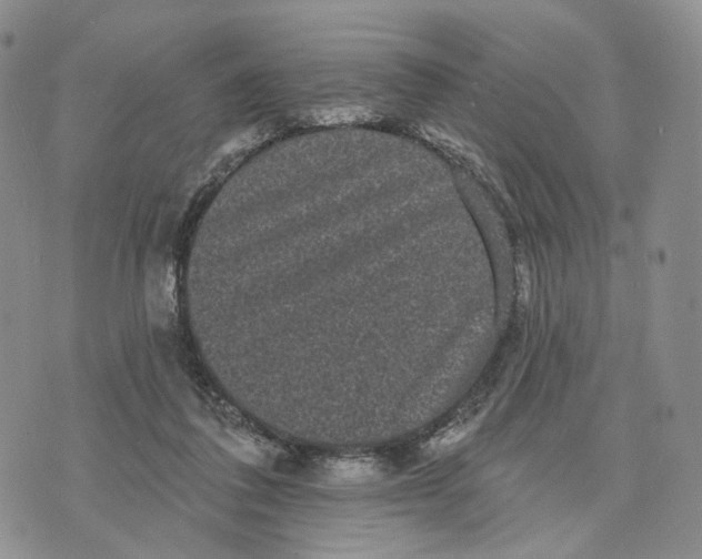 X0000070340308200606301747