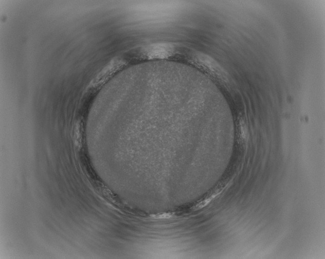 X0000070340311200606301747