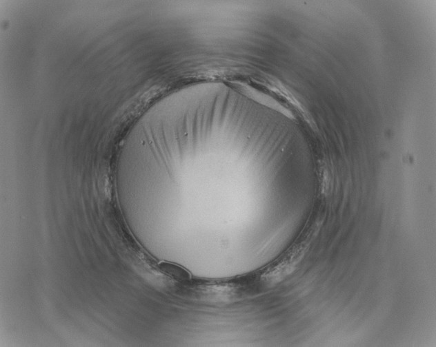 X0000070340313200606301747