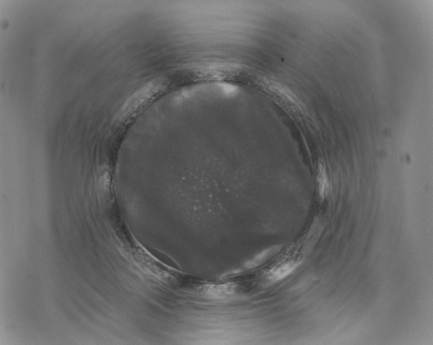 X0000070340314200606301747