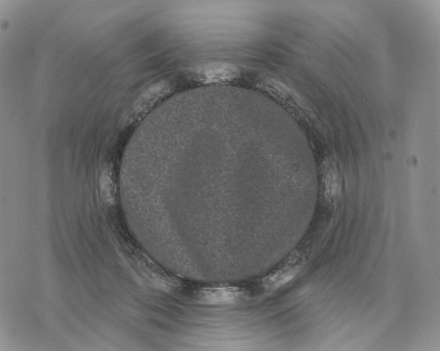 X0000070340316200606301747