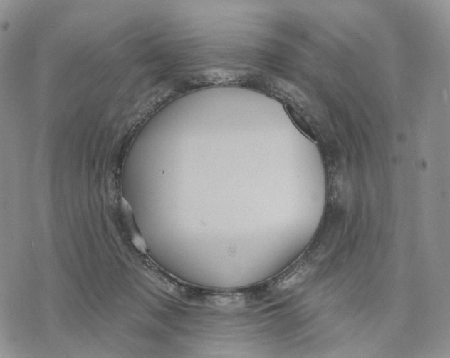 X0000070340317200606301747