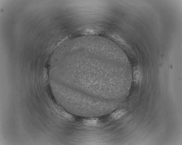 X0000070340318200606301747