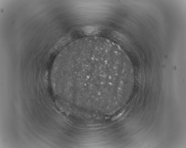 X0000070340319200606301747