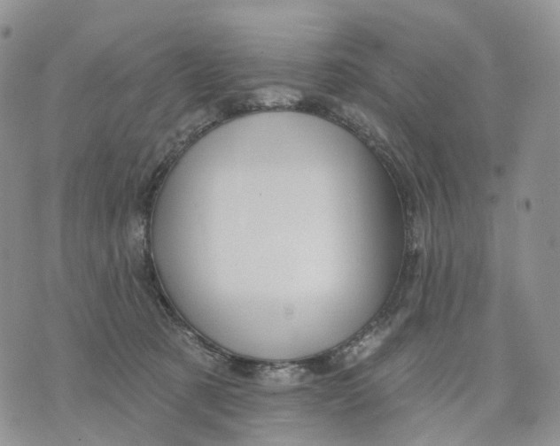 X0000070340321200606301747