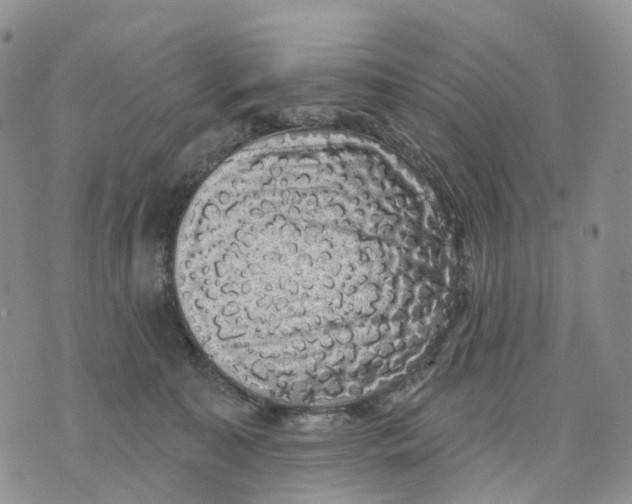 X0000070340323200606301747