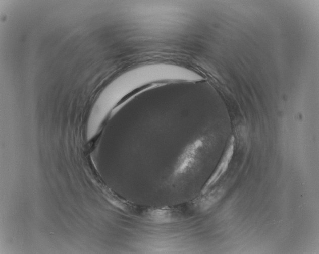 X0000070340325200606301747