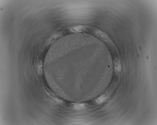 X0000070340332200606301747