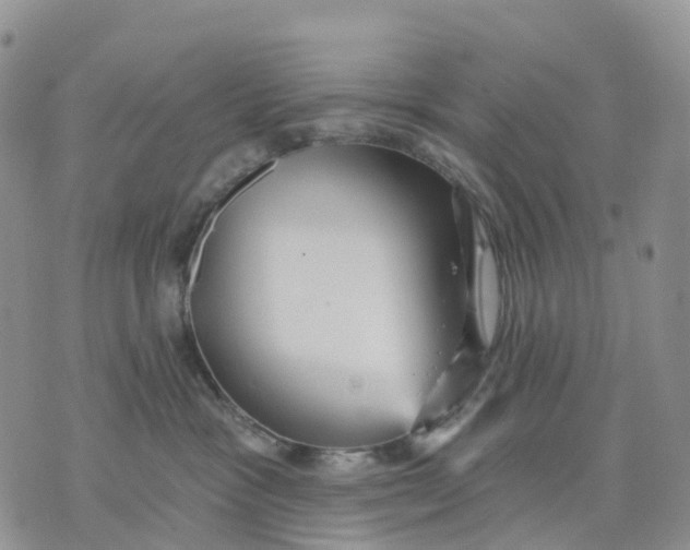 X0000070340333200606301747