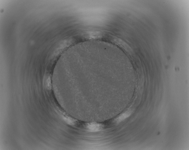 X0000070340336200606301747