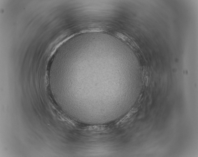 X0000070340338200606301746