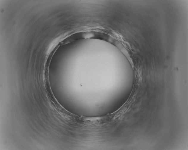 X0000070340340200606301746