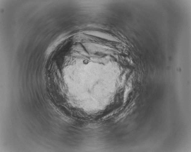 X0000070340341200606301746