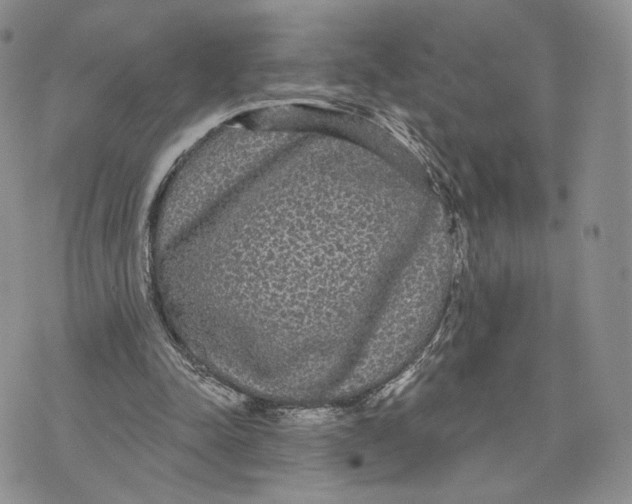 X0000070340342200606301746