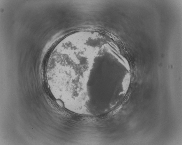 X0000070340343200606301746