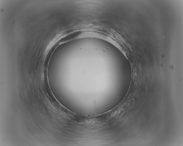 X0000070340344200606301746