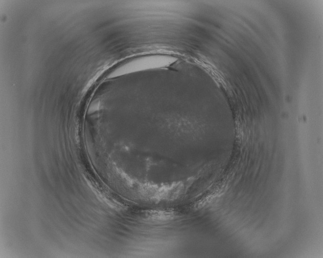 X0000070340347200606301746