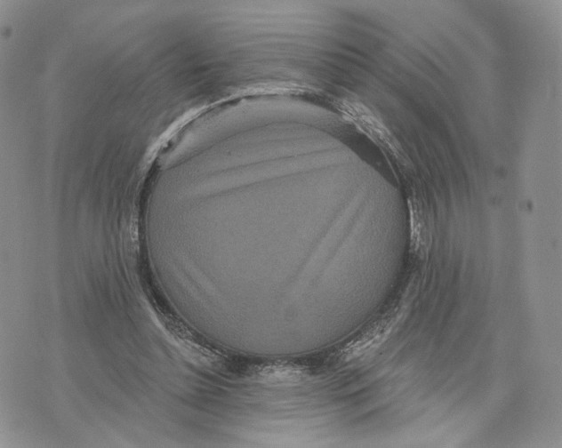 X0000070340348200606301746