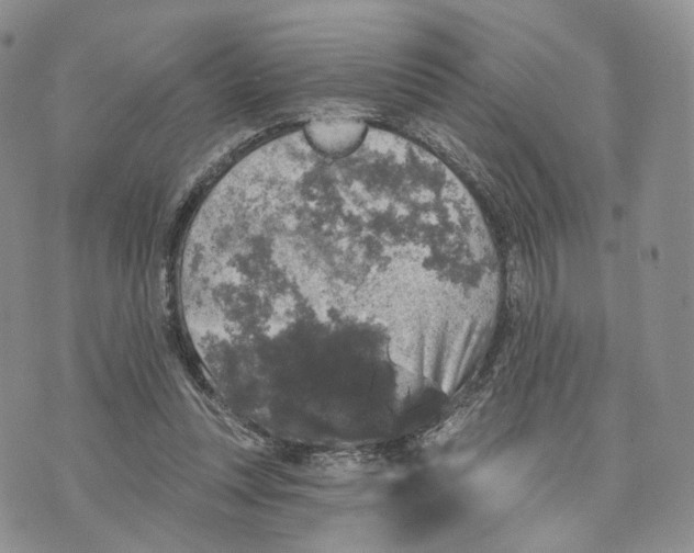 X0000070340351200606301746