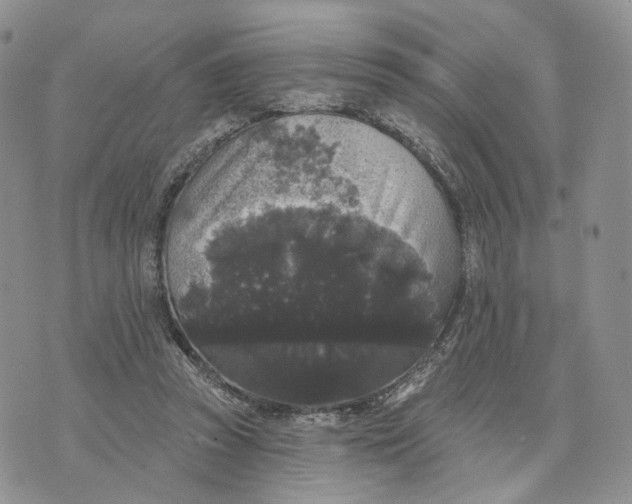 X0000070340353200606301746