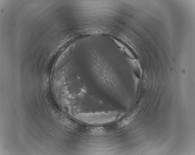 X0000070340355200606301746