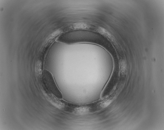 X0000070340356200606301746