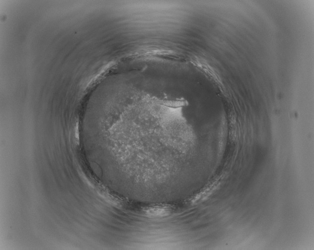 X0000070340358200606301746