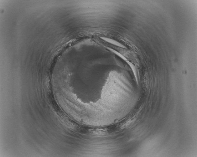 X0000070340359200606301746