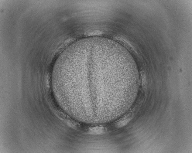 X0000070340362200606301746