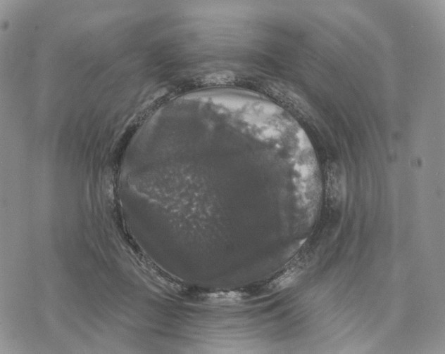 X0000070340363200606301746