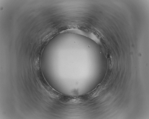 X0000070340364200606301746