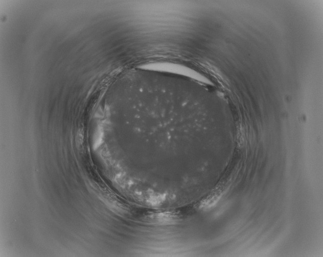 X0000070340365200606301746