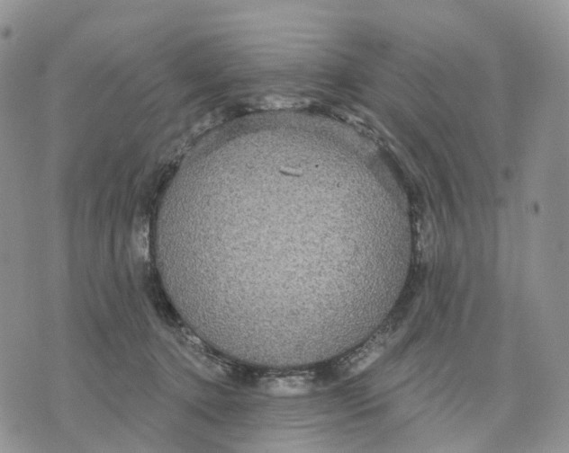 X0000070340368200606301747