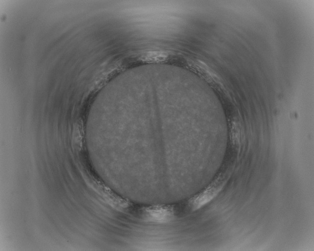 X0000070340370200606301747