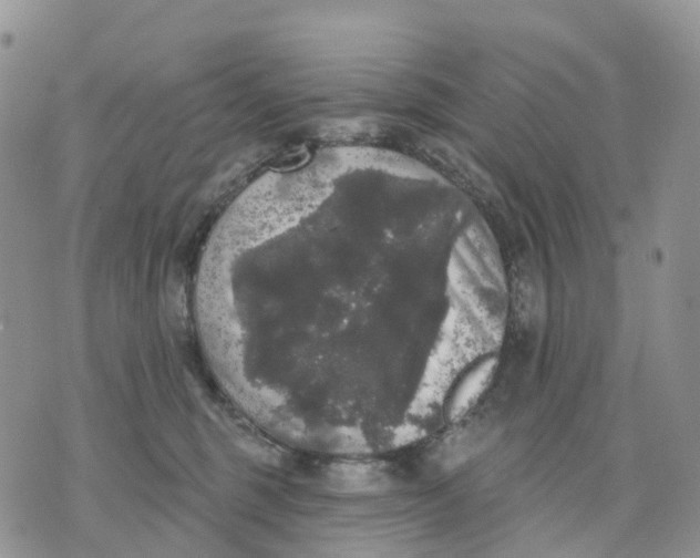 X0000070340375200606301747