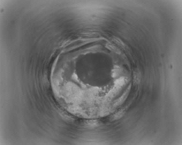 X0000070340377200606301747