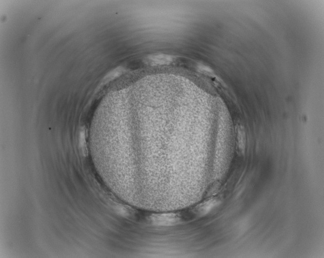 X0000070340378200606301747