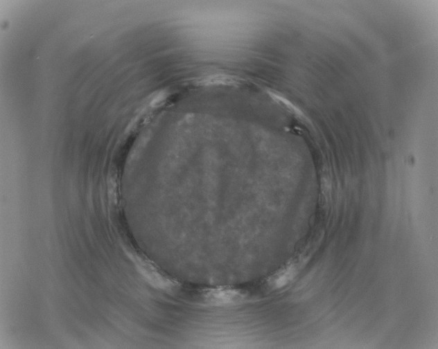 X0000070340379200606301747