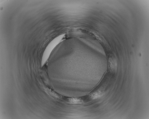 X0000070340380200606301747