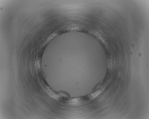 X0000070340382200606301747