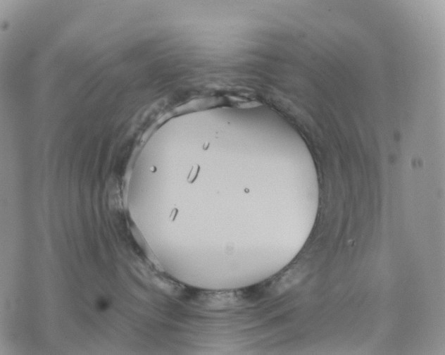 X0000070340384200606301747