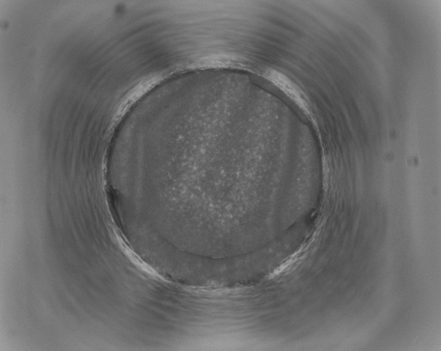 X0000070340389200606301746