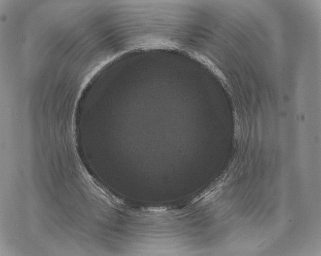 X0000070340391200606301746