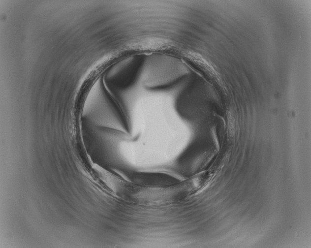 X0000070340392200606301746