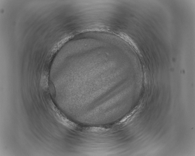 X0000070340393200606301746