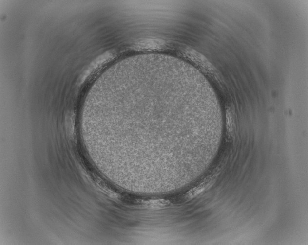 X0000070340396200606301746