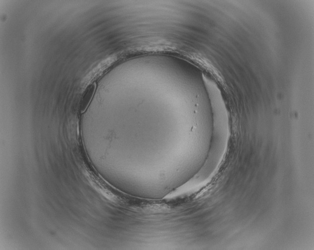 X0000070340397200606301746