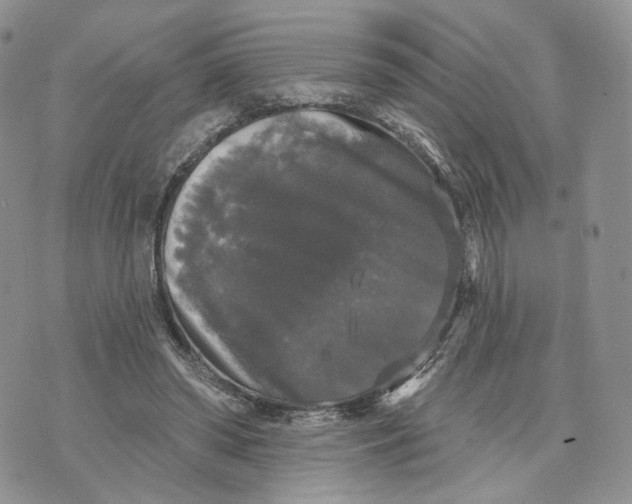 X0000070340398200606301746