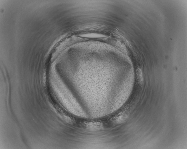 X0000070340400200606301746