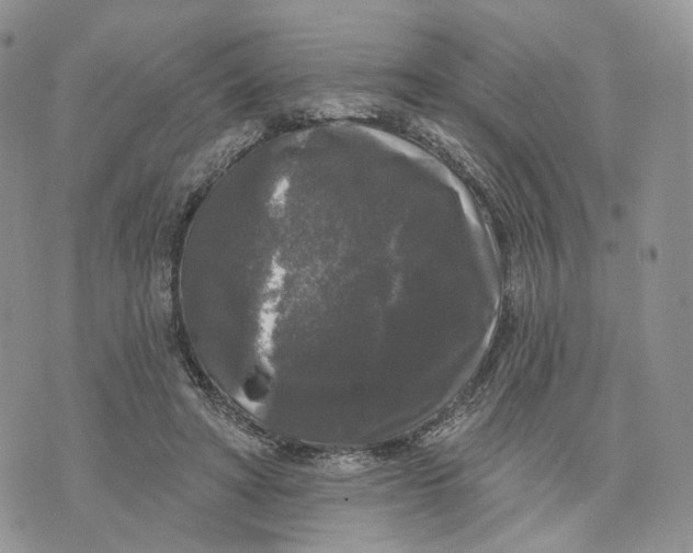 X0000070340402200606301746